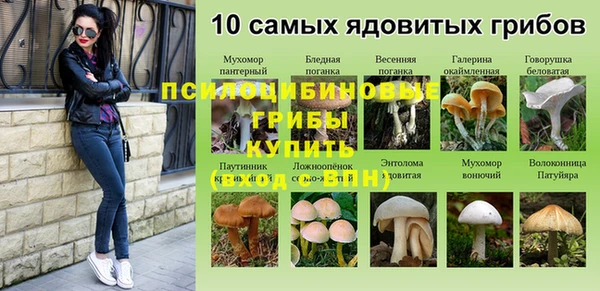 jwh Богданович